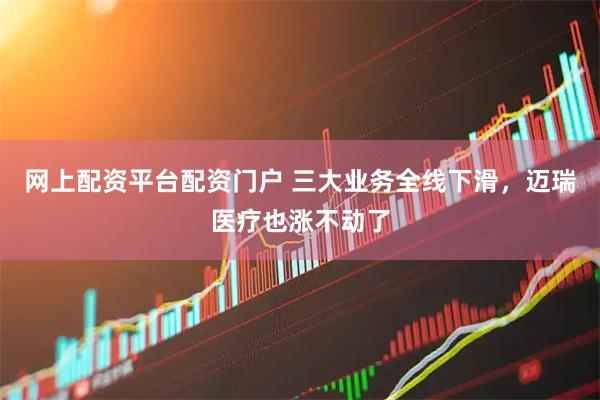 网上配资平台配资门户 三大业务全线下滑，迈瑞医疗也涨不动了
