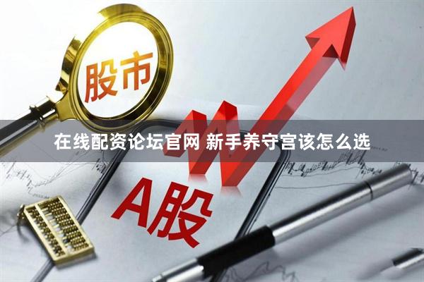 在线配资论坛官网 新手养守宫该怎么选