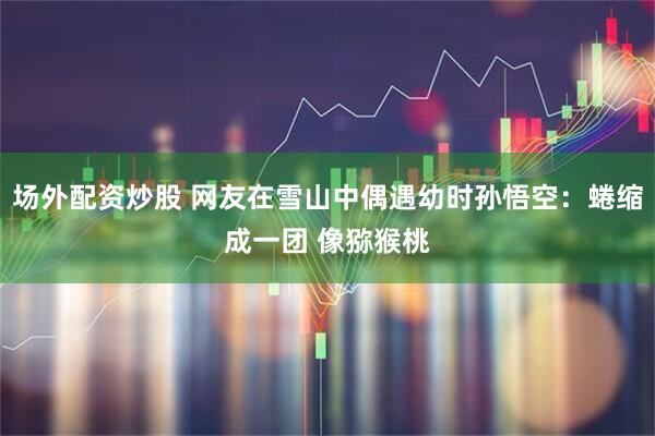 场外配资炒股 网友在雪山中偶遇幼时孙悟空：蜷缩成一团 像猕猴桃