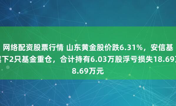 网络配资股票行情 山东黄金股价跌6.31%，安信基金旗下2只基金重仓，合计持有6.03万股浮亏损失18.69万元