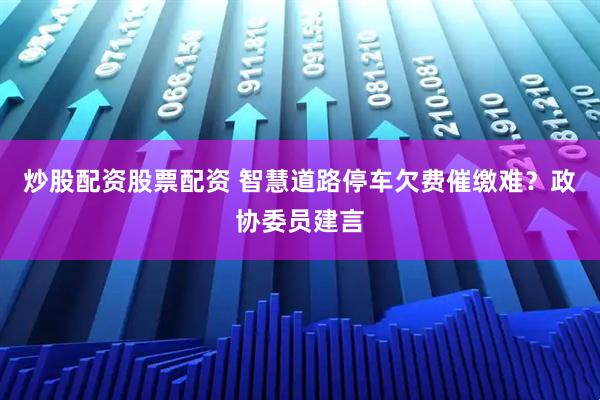 炒股配资股票配资 智慧道路停车欠费催缴难？政协委员建言