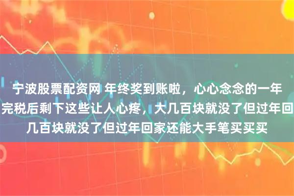 宁波股票配资网 年终奖到账啦，心心念念的一年辛苦费终于来了，扣完税后剩下这些让人心疼，大几百块就没了但过年回家还能大手笔买买买