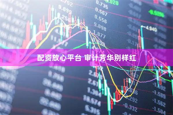 配资放心平台 审计芳华别样红