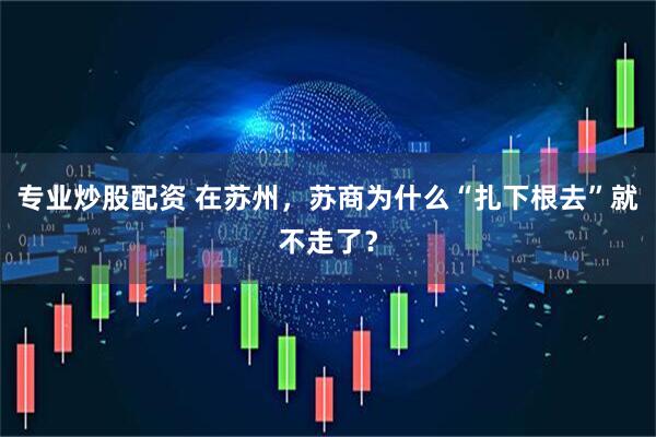 专业炒股配资 在苏州，苏商为什么“扎下根去”就不走了？
